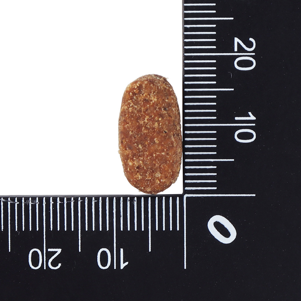 [임박할인 26.11.20] 한정수량 닥터클라우더 인테스티널 IRD 저지방 4kg