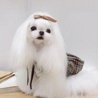 [마망독] 스키니 핸드메이드 리본핀 21color
