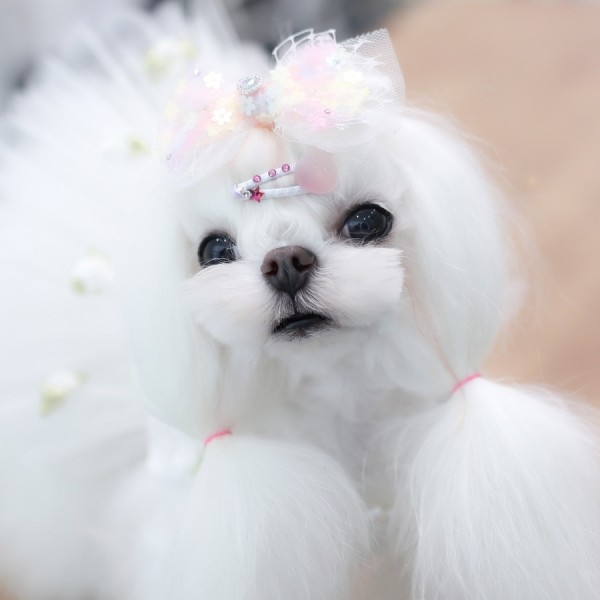 페오펫몰,[마망독] 트윙클플라워 핸드메이드 스페셜 리본핀