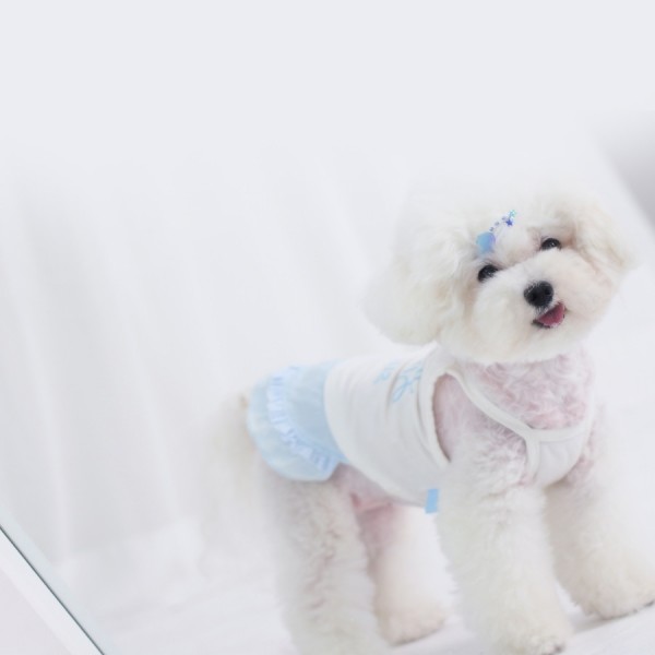 페오펫몰,[마망독] 쥬쥬 핸드메이드 방수똑딱핀 5color