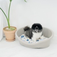 [펫토리아] 아이맥 강아지 고양이 하우스 다이도