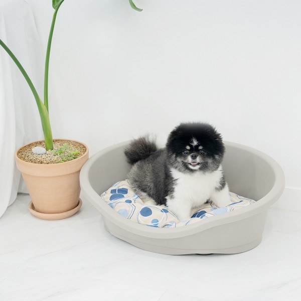 페오펫몰,[펫토리아] 아이맥 강아지 고양이 하우스 다이도