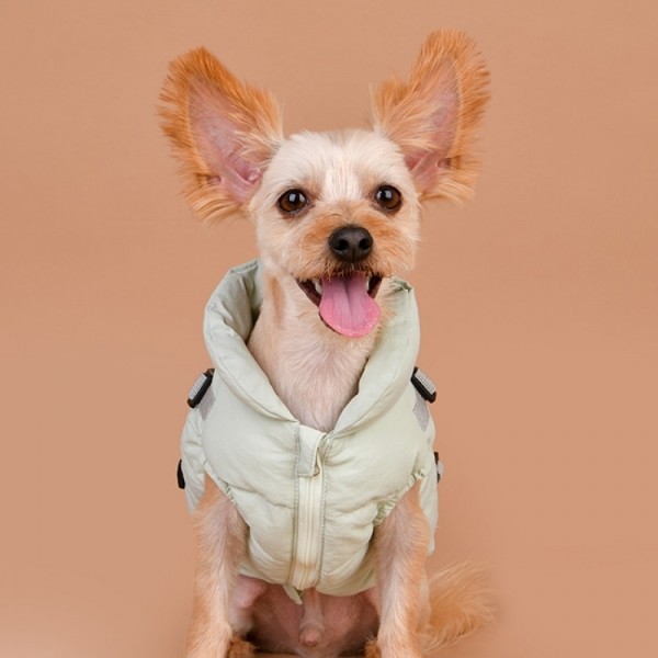 페오펫몰,[설날특가]퍼피아 강아지 코튼 하네스 패딩 점퍼