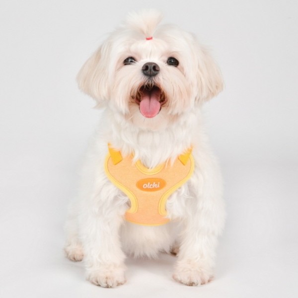 페오펫몰,올치 켁켁거리지 않는 소프트 X하네스 (OAWD-HX6518)