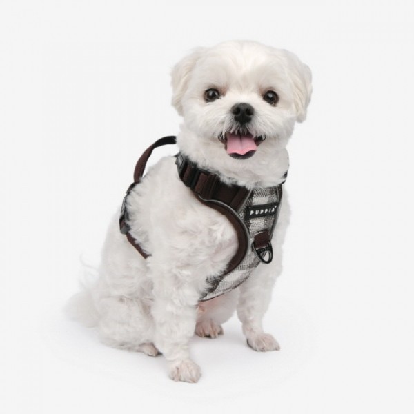 페오펫몰,[핫썸머특가]퍼피아 가렛 앞섬방지 하네스 H