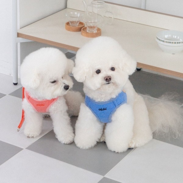 페오펫몰,#초보견주#쉬운길이조정 올치 강아지 산책용 매직 하네스/리드줄
