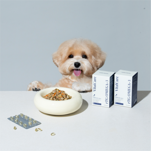페오펫몰,씽크라이크펫 순도80% KD파마 강아지 오메가3 250mg 60캡슐 피부 관절 영양제 바이탈케어 알티지