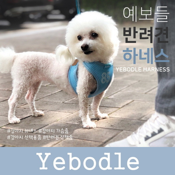 페오펫몰,[댕린이특가] 예보들 큰강아지 하네스 말티즈 닥스훈트 웰시코기하네스