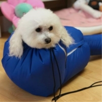 [감사특가] 예보들 펫 드라이룸 강아지룸 반려동물 건조기 고양이펫드라이룸 대형견드라이룸