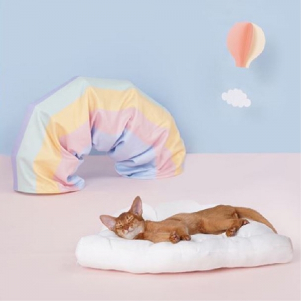 페오펫몰,예보들 레인보우 고양이 터널