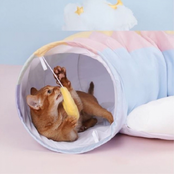 페오펫몰,예보들 레인보우 고양이 터널