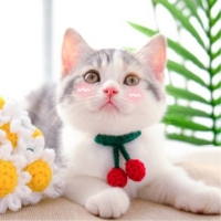 예보들 고양이방울목걸이 반려묘목걸이 고양이목도리 악세사리 목줄 수제 핸드메이드