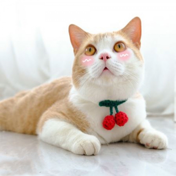 페오펫몰,예보들 고양이방울목걸이 반려묘목걸이 고양이목도리 악세사리 목줄 수제 핸드메이드