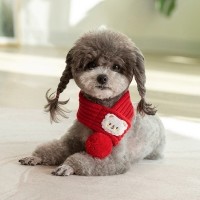 [행복특가] 예보들 강아지 고양이 니트 목도리
