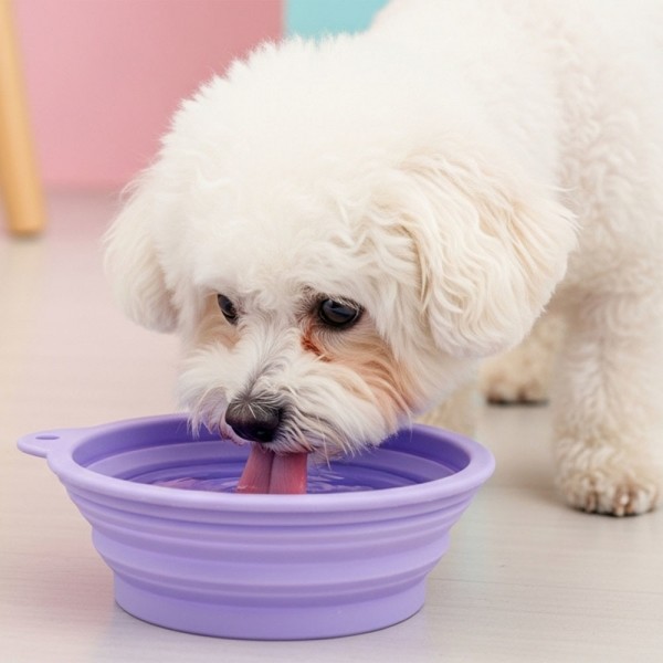 페오펫몰,예보들 접이식 강아지 물병 물통