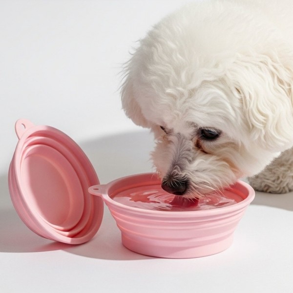 페오펫몰,예보들 접이식 강아지 물병 물통