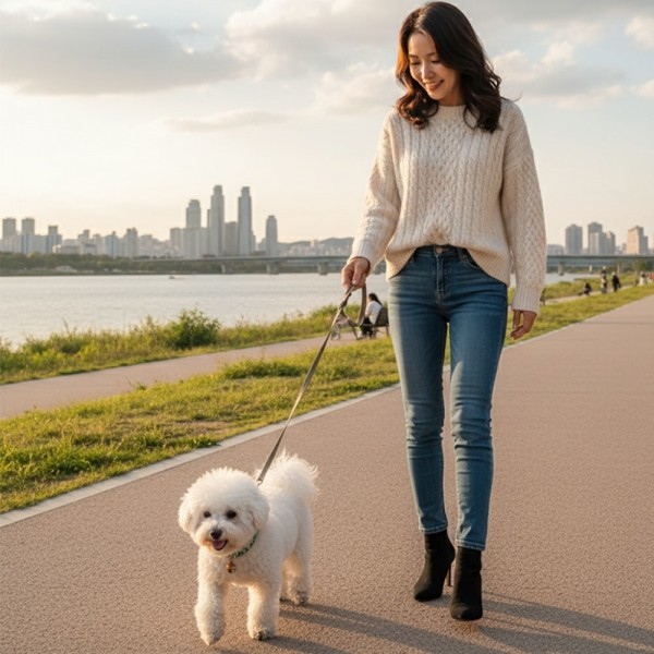 페오펫몰,[감사특가] 예보들 시바견목걸이 강아지방울목걸이 강아지산책목줄 강아지악세사리 강아지인식표 반려동물산책 고양이방울목걸이