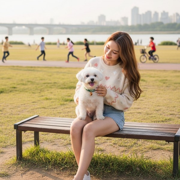 페오펫몰,[감사특가] 예보들 시바견목걸이 강아지방울목걸이 강아지산책목줄 강아지악세사리 강아지인식표 반려동물산책 고양이방울목걸이