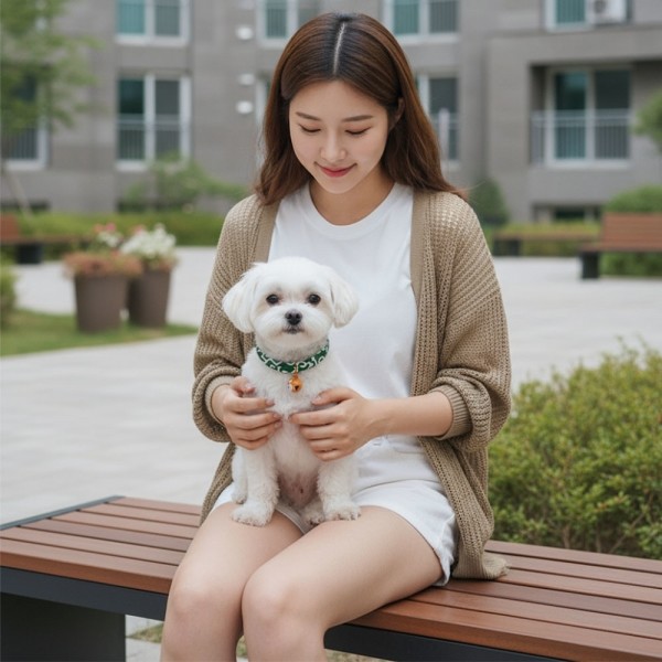 페오펫몰,[감사특가] 예보들 시바견목걸이 강아지방울목걸이 강아지산책목줄 강아지악세사리 강아지인식표 반려동물산책 고양이방울목걸이