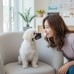 썸네일(스크롤)