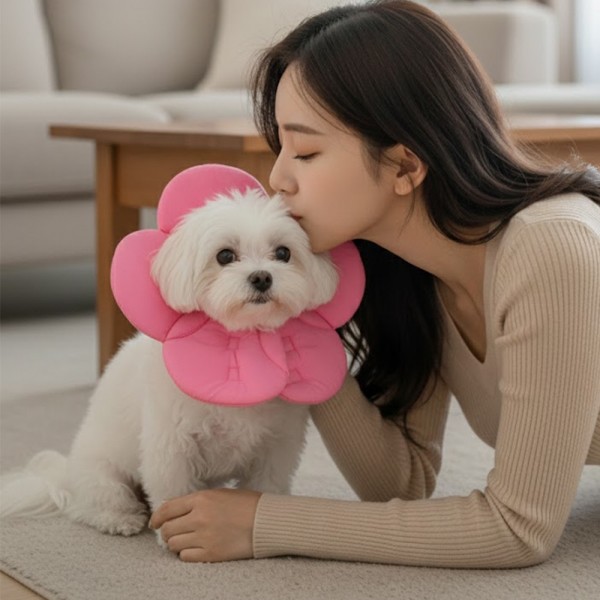페오펫몰,예보들 벚꽃 강아지넥카라 대형견넥카라 강아지목보호대 강아지넥쿠션