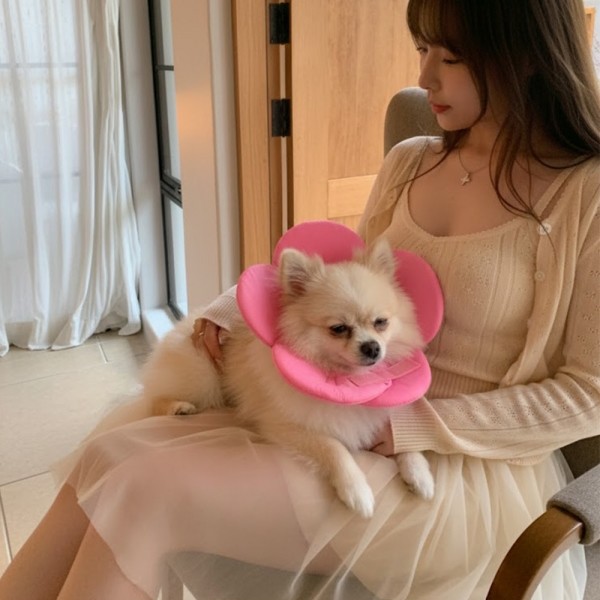 페오펫몰,예보들 벚꽃 강아지넥카라 대형견넥카라 강아지목보호대 강아지넥쿠션