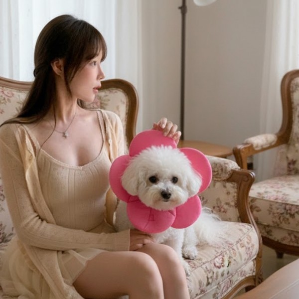 페오펫몰,예보들 벚꽃 강아지넥카라 대형견넥카라 강아지목보호대 강아지넥쿠션