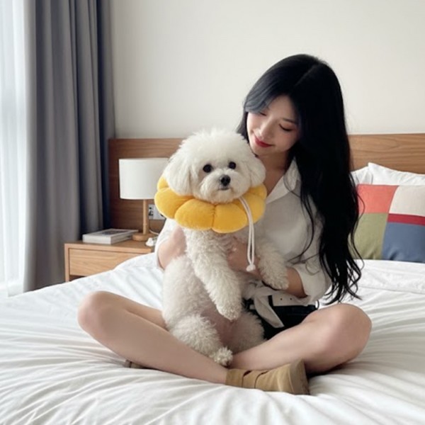 페오펫몰,예보들 고양이넥카라 대형견넥카라 강아지넥쿠션 강아지목보호대