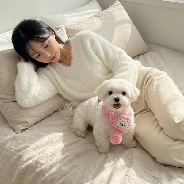 페오펫몰,[예보들][설날특가] 예보들 강아지 고양이 니트 목도리