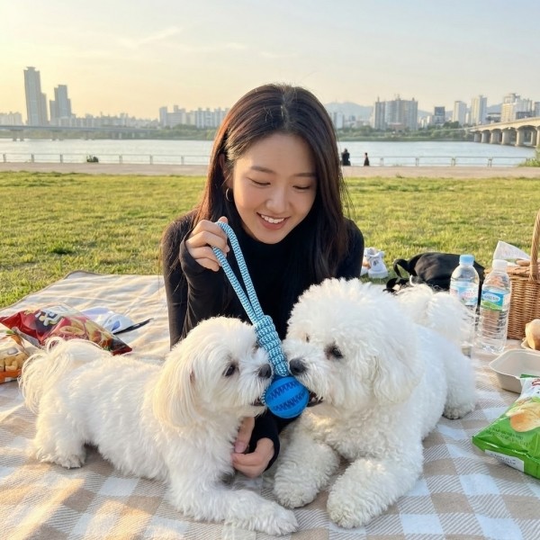 페오펫몰,예보들 강아지 치석제거 터그놀이 장난감