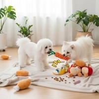 우리 아이 스트레스 ZERO! 인기 장난감 4종 패키지 (사과/당근/갈비/신발)