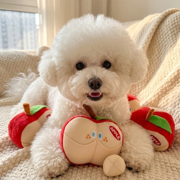 페오펫몰,우리 아이 스트레스 ZERO! 인기 장난감 4종 패키지 (사과/당근/갈비/신발)