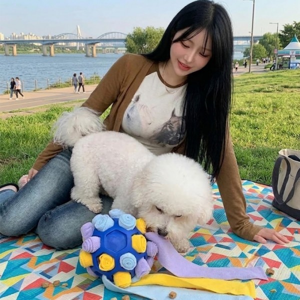 페오펫몰,예보들 강아지 노즈워크 장난감 간식 공놀이 단계조절가능
