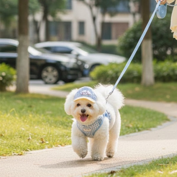 페오펫몰,예보들 새끼 강아지 여름 하네스 고양이하네스 HARNESS 개목줄