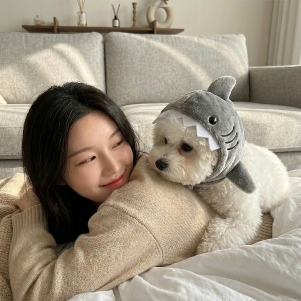 페오펫몰,[반려동물] 귀여운 상어 인형 펫 모자 강아지 고양이 공용 코스튬 소품