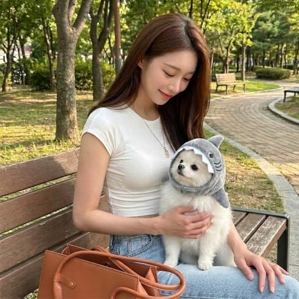 페오펫몰,[반려동물] 귀여운 상어 인형 펫 모자 강아지 고양이 공용 코스튬 소품