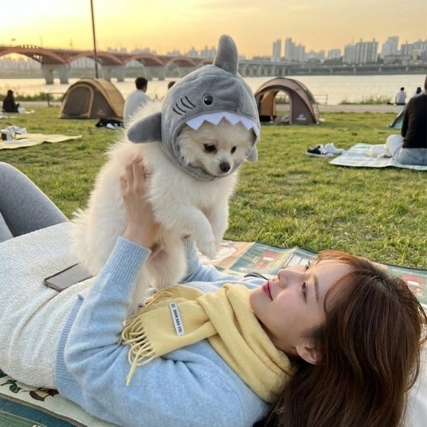 페오펫몰,[반려동물] 귀여운 상어 인형 펫 모자 강아지 고양이 공용 코스튬 소품