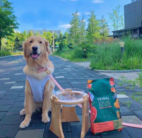 페오펫몰,캣토피아 대형견 밥그릇 거치대 강아지 대용량 유리볼 물그릇 식기
