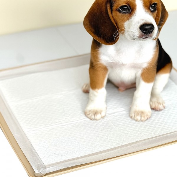 페오펫몰,네이처펫 투인원 매트랑 패드 300매