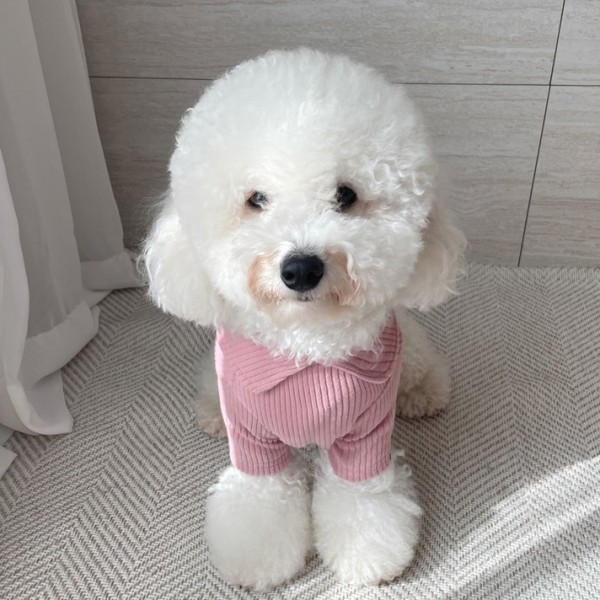 페오펫몰,그루밍독 후끈 하이넥 티셔츠 S-2XL, 3 colors