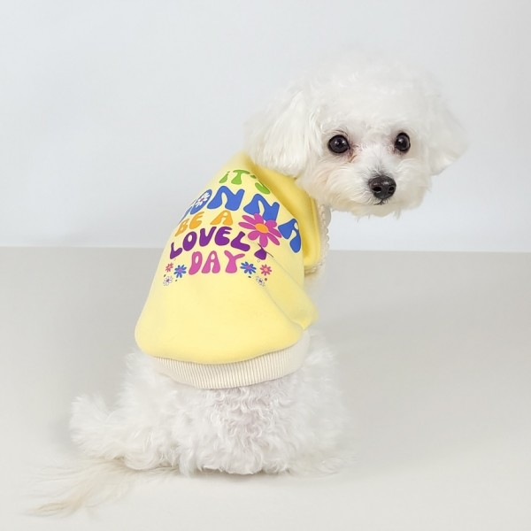 페오펫몰,[보름달특가] 그루밍독 반려동물 커플룩 러블리 데이 기모 맨투맨 티셔츠 S-2XL, 3 colors & 견주용 원피스