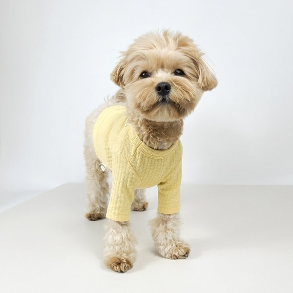 페오펫몰,그루밍독 반려동물 솜사탕 데일리 티셔츠 S-2XL, 4 colors