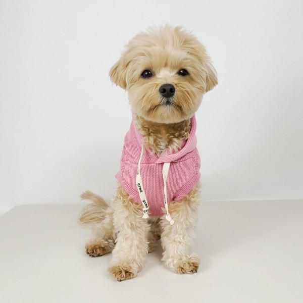 페오펫몰,그루밍독 반려동물 브리즈 니트 후드 티셔츠 S-2XL, 3 colors