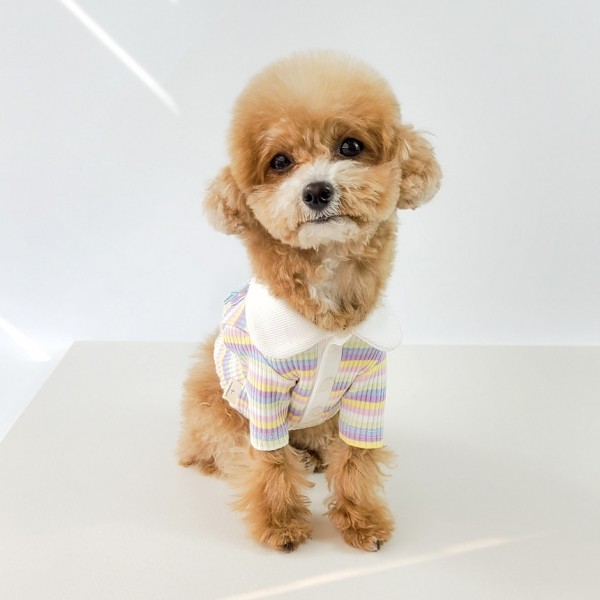 페오펫몰,그루밍독 반려동물 레인보우 배색 카라 티셔츠 S-2XL, 2 colors