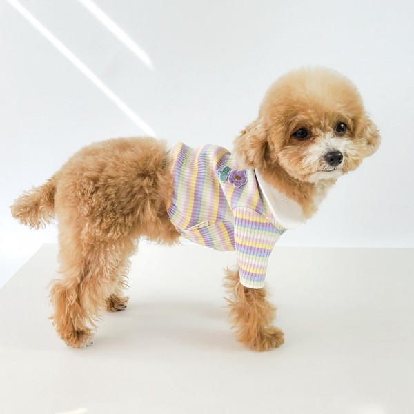 페오펫몰,그루밍독 반려동물 레인보우 배색 카라 티셔츠 S-2XL, 2 colors