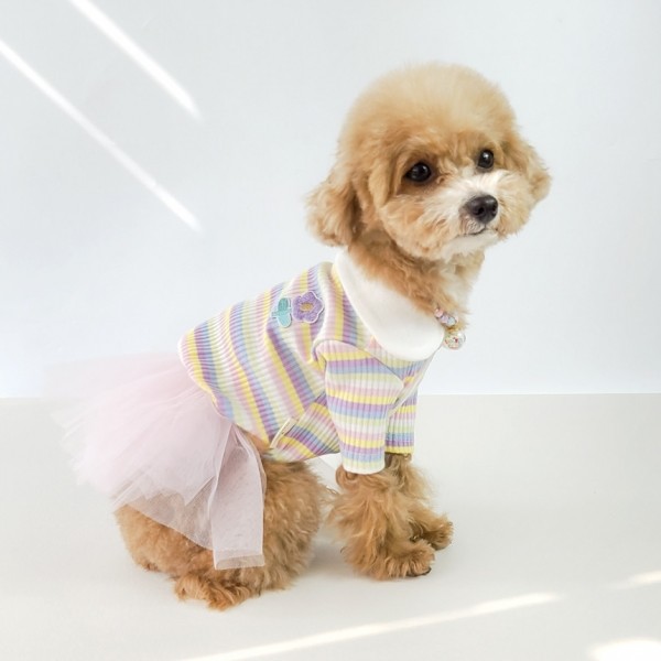 페오펫몰,그루밍독 반려동물 레인보우 배색 카라 티셔츠 S-2XL, 2 colors