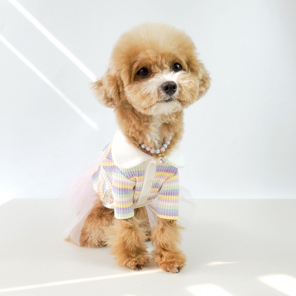 페오펫몰,그루밍독 반려동물 레인보우 배색 카라 티셔츠 S-2XL, 2 colors