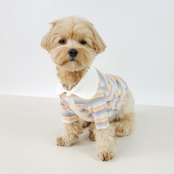 페오펫몰,그루밍독 반려동물 레인보우 배색 카라 티셔츠 S-2XL, 2 colors