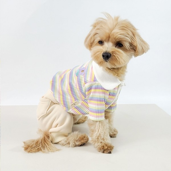 페오펫몰,그루밍독 반려동물 레인보우 배색 카라 티셔츠 S-2XL, 2 colors