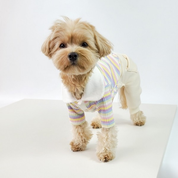 페오펫몰,그루밍독 반려동물 레인보우 배색 카라 티셔츠 S-2XL, 2 colors